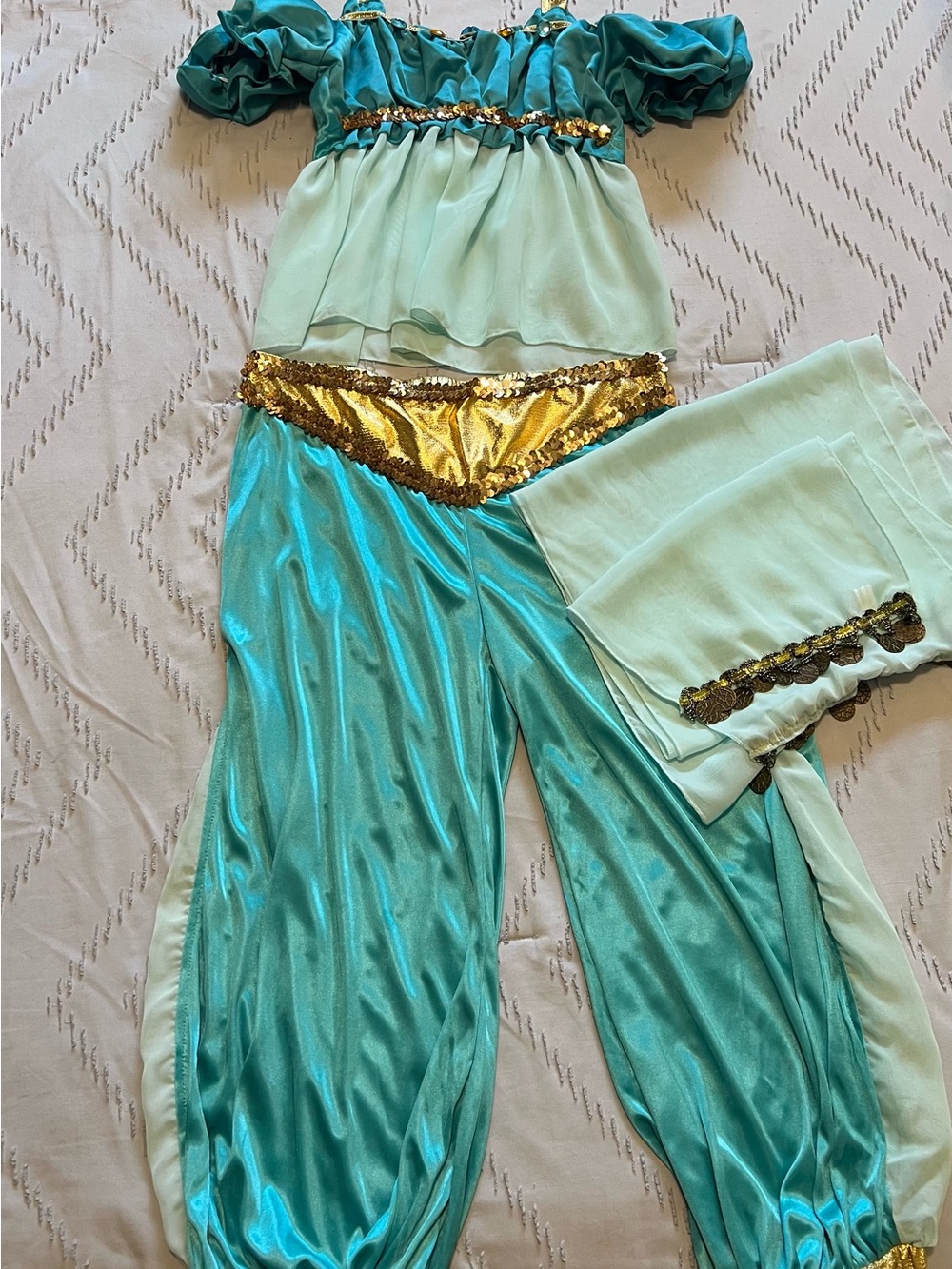 Disney Jasmine Costume Women’s Adult Small 3-Piece Aladdin